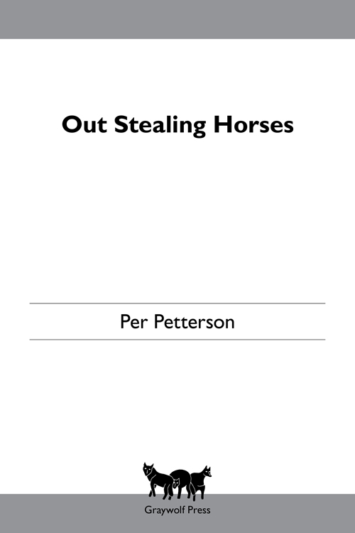 Out Stealing Horses